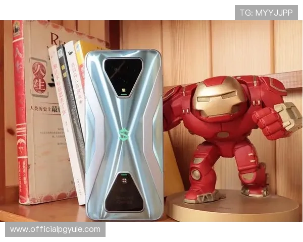 永乐国际ag旗舰厅平台优势：游戏公平性与安全性详解